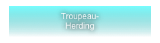 Troupeau-
Herding