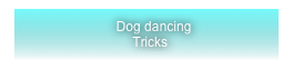     Dog dancing 
  Tricks